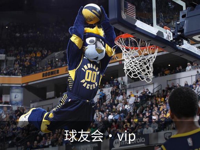 球友会·vip概况